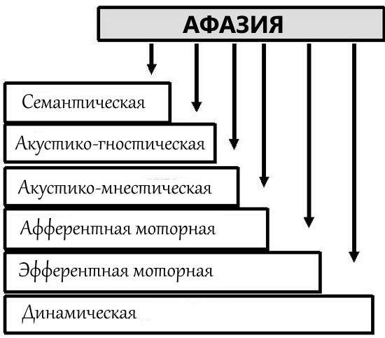 Пятница т и логопедия в схемах и таблицах